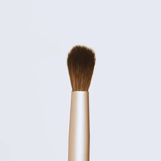 Detail Brush