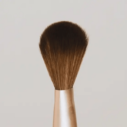 Powder Complexion Brush