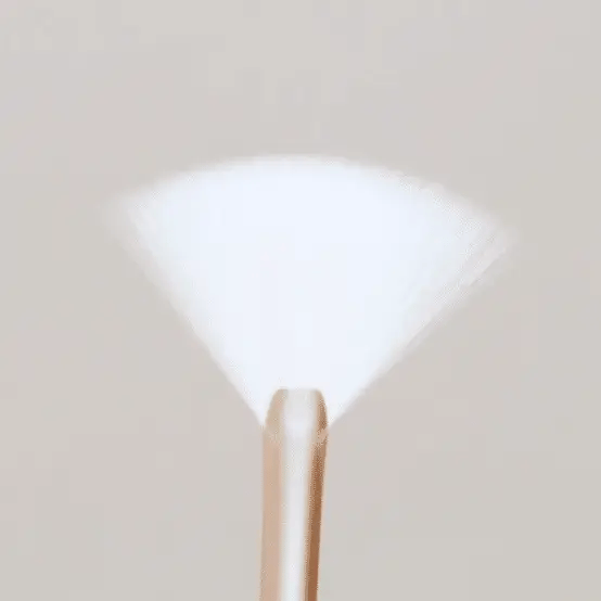 Fan Brush
